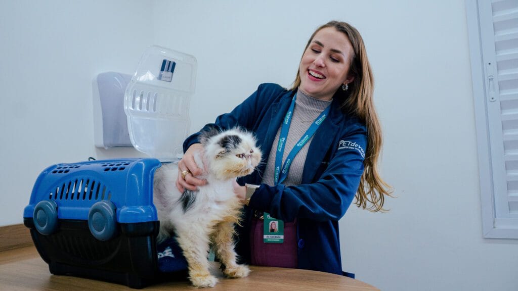 Dermatologia Veterinária é Só Estética? Entenda o Papel Real na Saúde do Seu Pet