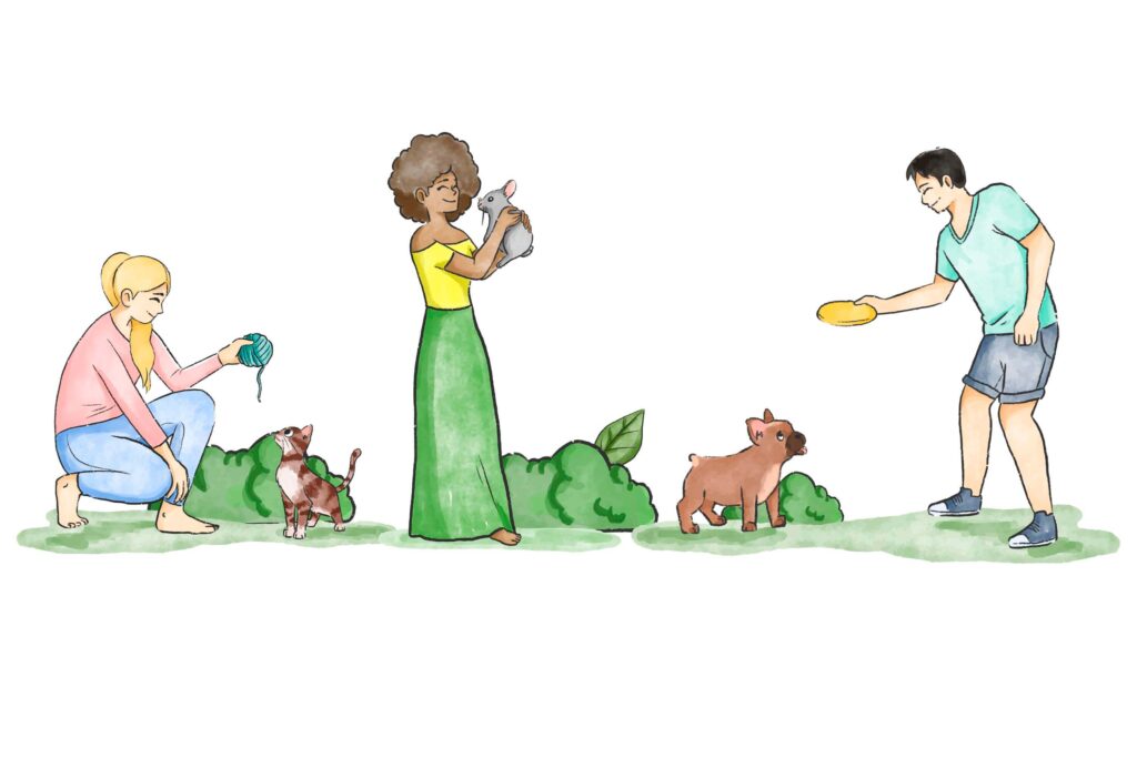 Risco Ambientais Para Pets