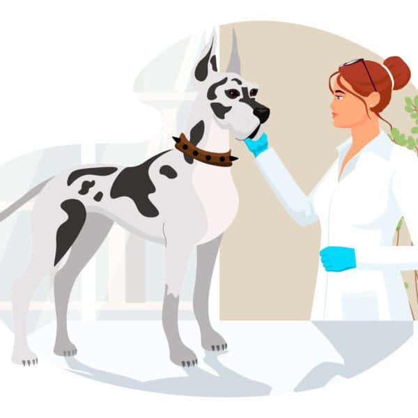 Petderma-Exame-De-Sangue-Em-Pets.2 Exames De Sangue Em Pets Dermatite