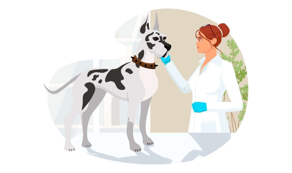 Exames de Sangue em Pets dermatite