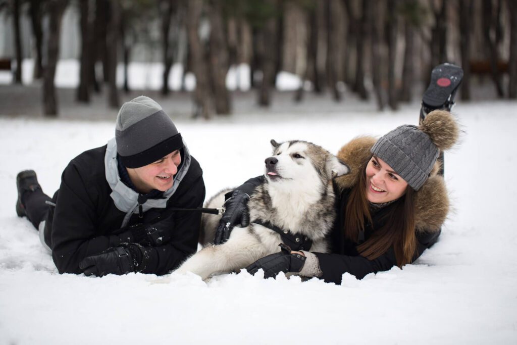 Cuidados Dermatológicos Em Pets No Inverno