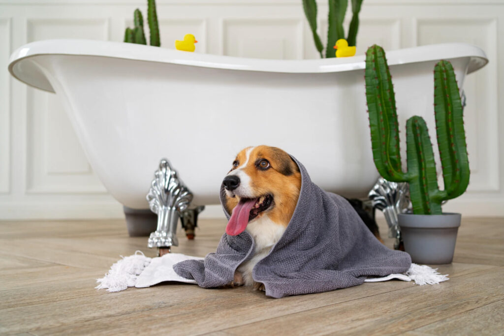 Dermocosméticos Veterinários