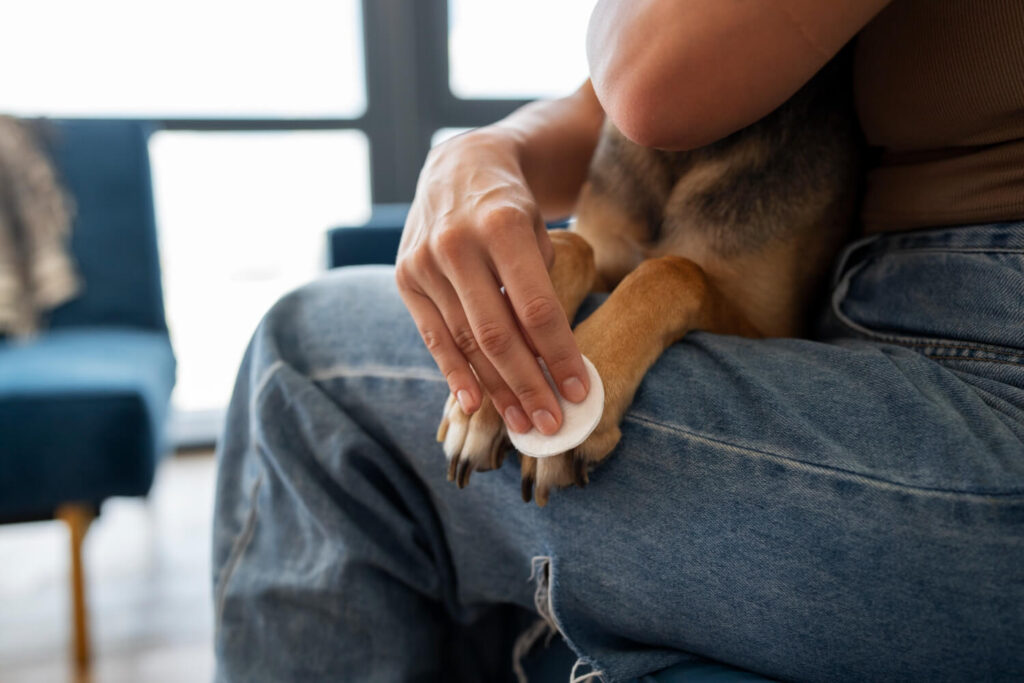 Dermatite Interdigital: Quando a Pata Vira o Problema nos Pets