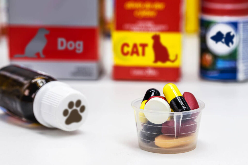 Suplementação Em Pets Sem Orientação Pode Piorar A Pele 3 Suplementação Em Pets